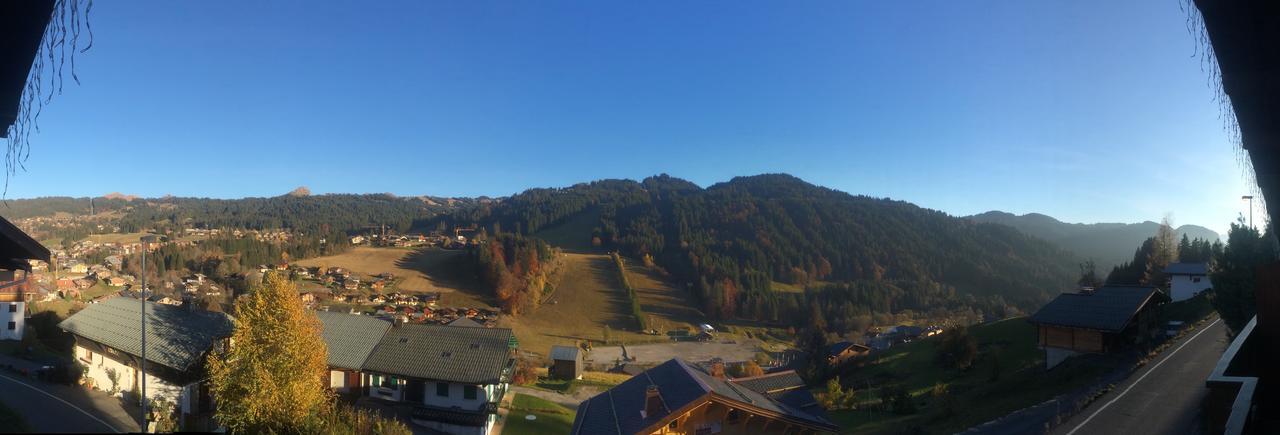 Chalet Sandy Panzió Les Gets Kültér fotó